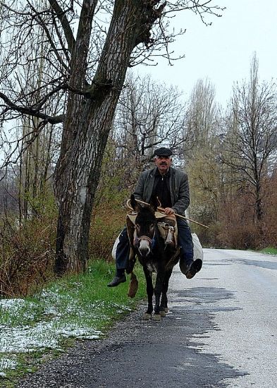 Suat Hocam Aram...