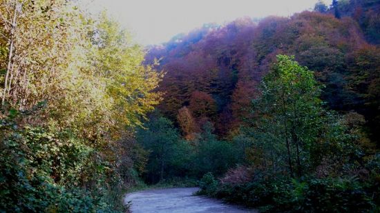 Karadenizde Sonbahar-1