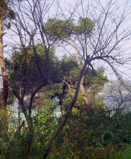 Sonbaharn Son Gnleri