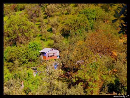 Orda Bir Ev Var Uzakta....