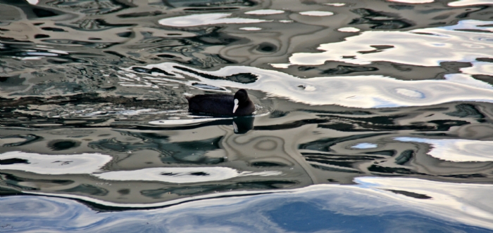 �stanbulun Renkleri