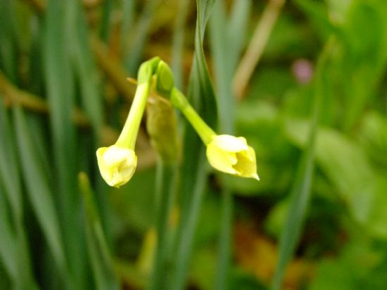 Hen�z A�mad�...