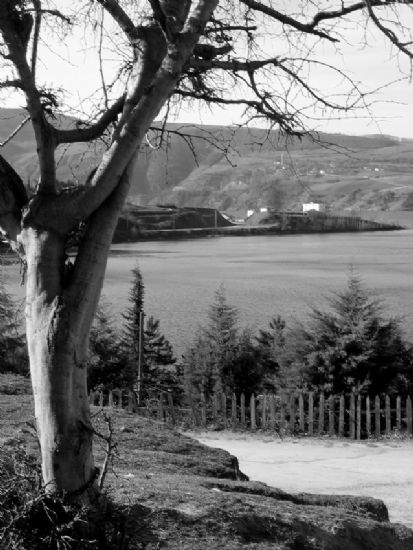 Okulumun Bahesinde-2