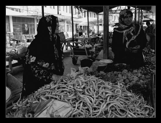 Beberlerim Bostandan