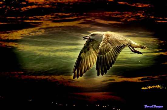 Benim Mart’lardan..