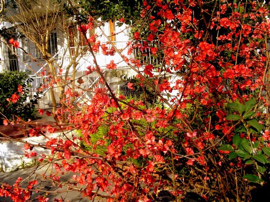 Bahar  ...  Yol Da...