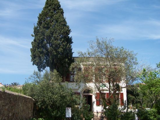 Zehra Teyzenin Evi...