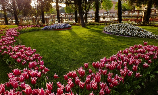 Laleler Ve Gztepe Park