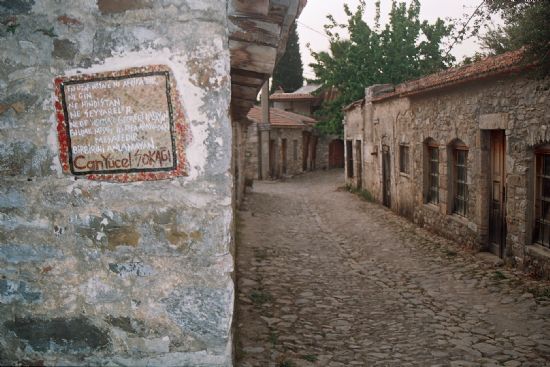 Turgut Arikok