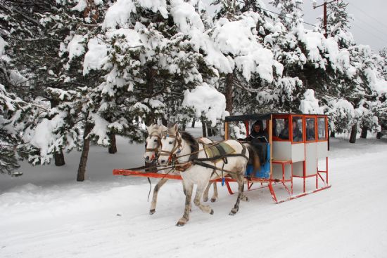 Abant’ta Faytonlar