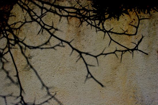 Tehlikenin Farknda Msnz?