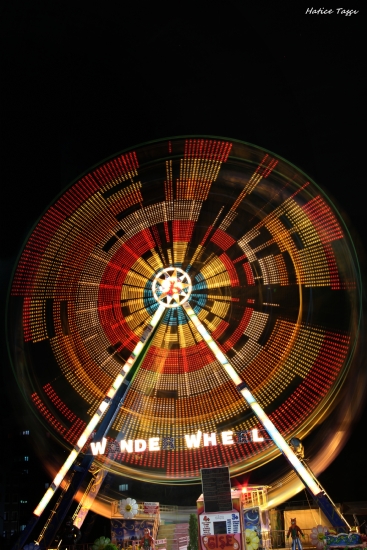 Wonder Wheel / Dnmedolap