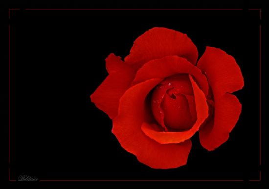 Yazdan Kalan Scaklk...