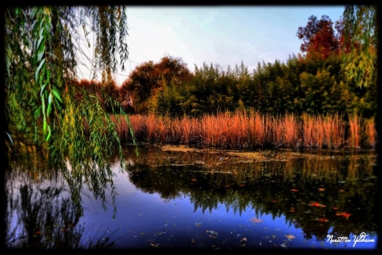 Bursa Botanik Park