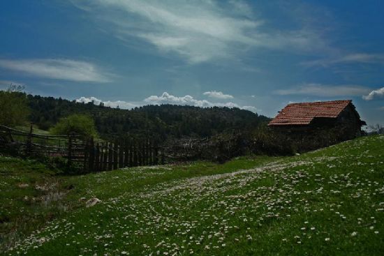 Yayla’da Bahar