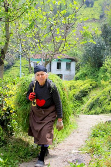 Rize-emek