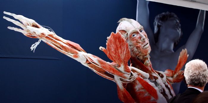 Body Worlds