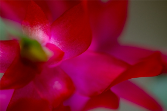 Sab�rla Yo�rulmu� G�zelliklere.....