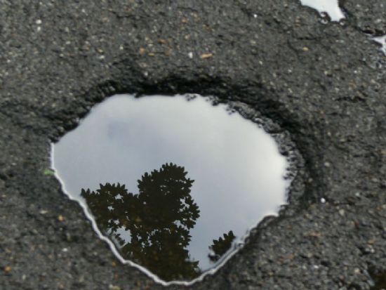 Oduncunun Kz ”afrodit”