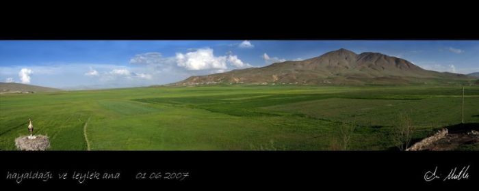 Hayalda Ve Leylek Ana..