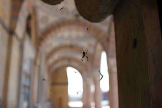 Sonsuzluktaki Kk Dnya