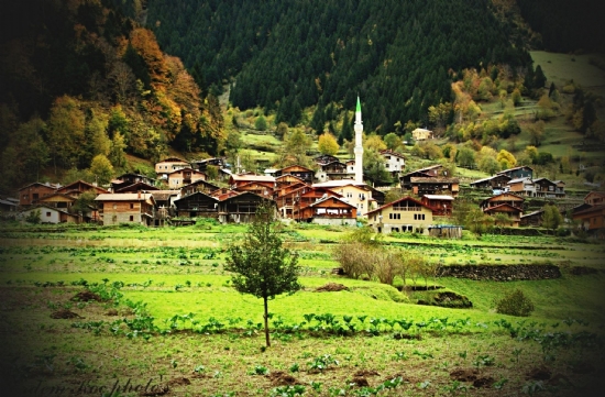 Uzungl