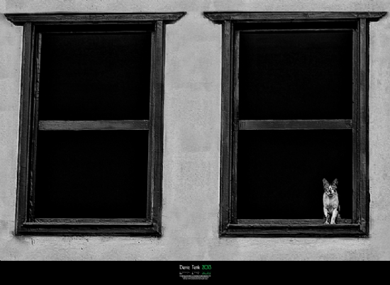 ::: ...  akn ...  :::