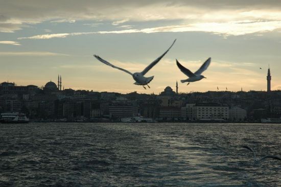 stanbul Ve Martlar