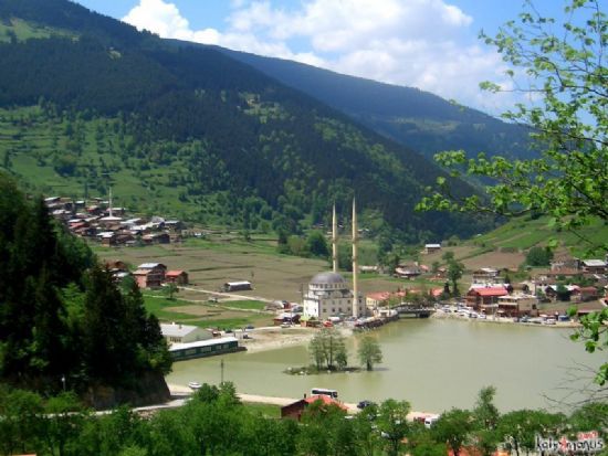 Uzungl