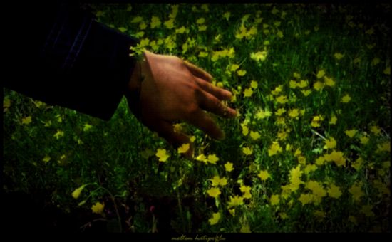 Mewsimine Eremeyen Dlerimm...