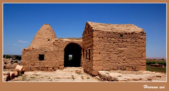 Harran Evi