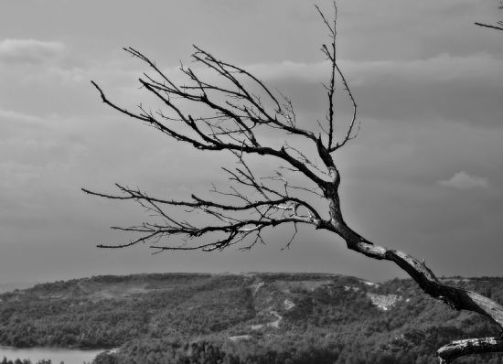 Gklere Uzanan Kuru Bir El