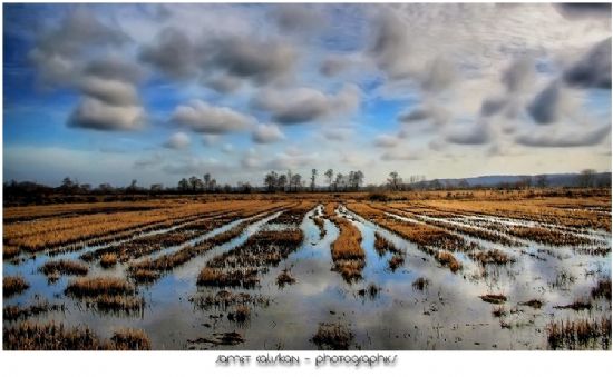 Hasat (hdr)