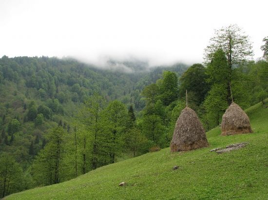 Trabzon Yaylalarndan