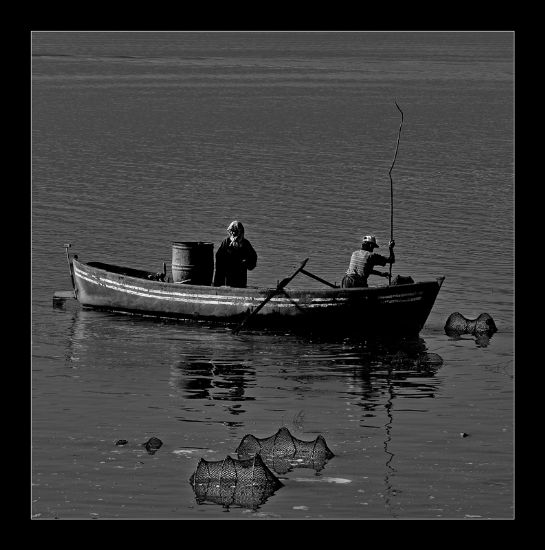 Ekmek Kavgas... 1...