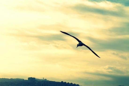 Benim Szlerim Gzlerim Olsun Bugn...