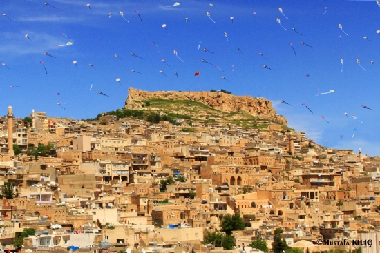 Mardin Uurtma Festivali