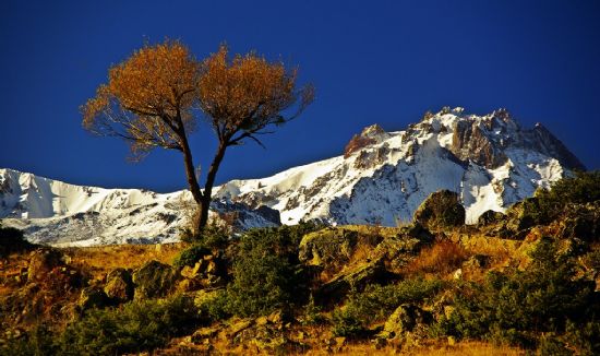 Sonbahar Ve Erciyes