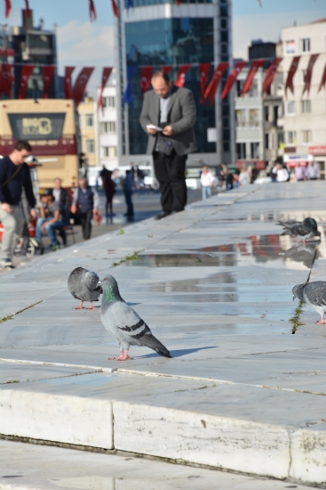 Gezi Park Merdivenleri