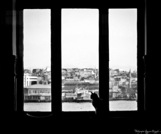 Hep nsanlar M Bekler Sevdiini ?