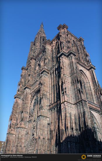 Strasbourg Cathedral 1