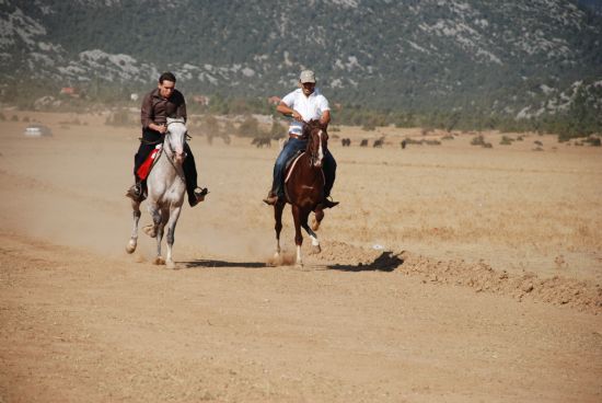 Ormana Rahvan At Yarlar