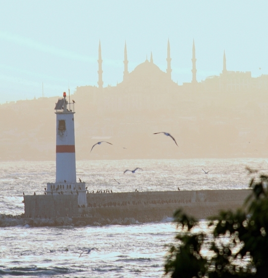 İstanbul’un Bir Yüzü De Martılar...