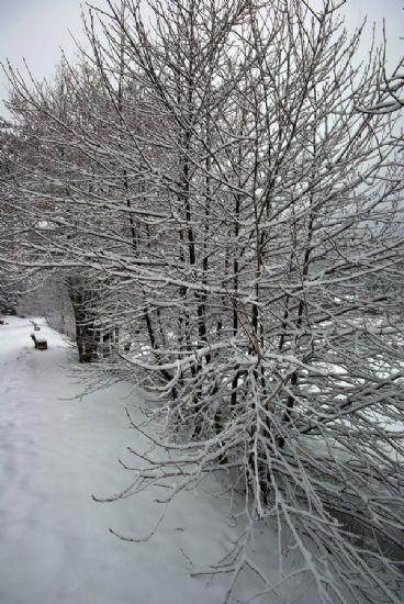 Bolu Glcuk’ Ten K Manzaralar