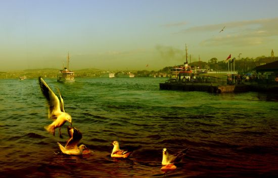 stanbul Martlar..