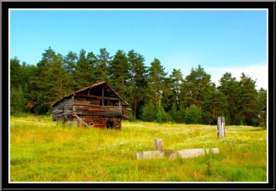 imdi Orda Olmak Vard...