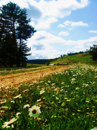 Erzincan Refahiye Dumanl Yaylas