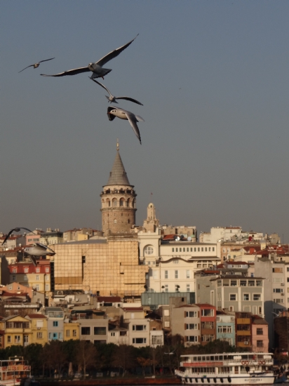 Galata Ve Martlar