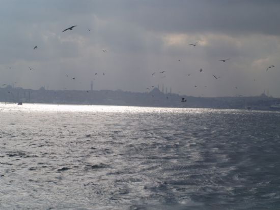 Bulut zin Verirse Gnei Grrsn :)