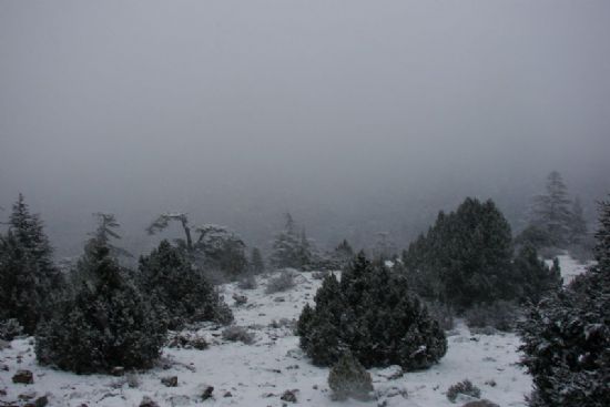 Puslu... Karl�... Iss�z... Ama Huzur Verici...